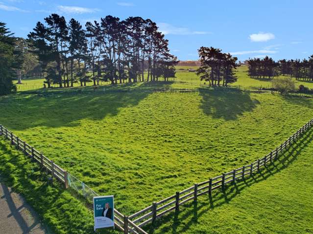 32 Forest Hill Road Aokautere_4