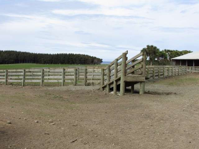 368 Otara Haldane Road Wyndham Surrounds_2