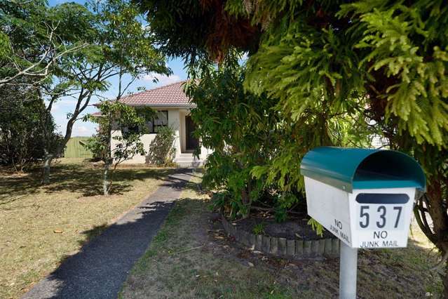 537 Richardson Road Mount Roskill_1