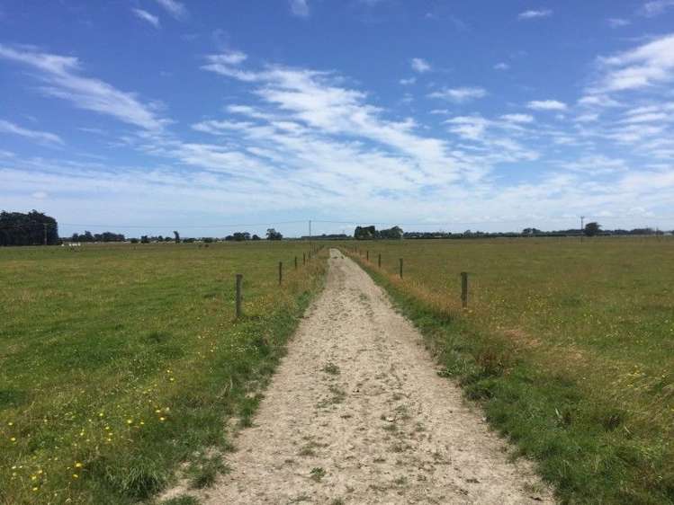 875 Roberts Line Bunnythorpe_5