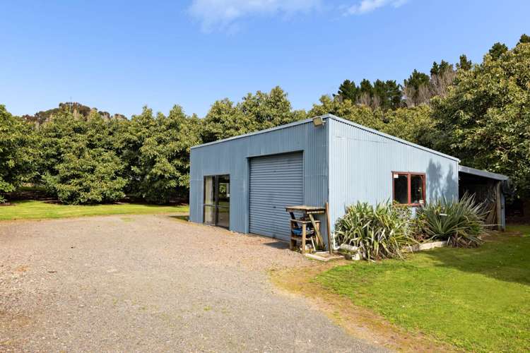 61 Prole Road Omokoroa_8