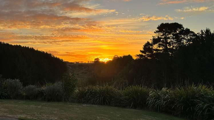 46 Oakland Lane Shannon_26