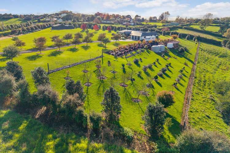 224 Runciman Road Ramarama_37