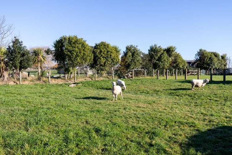 108 Huirau Road Turua_18