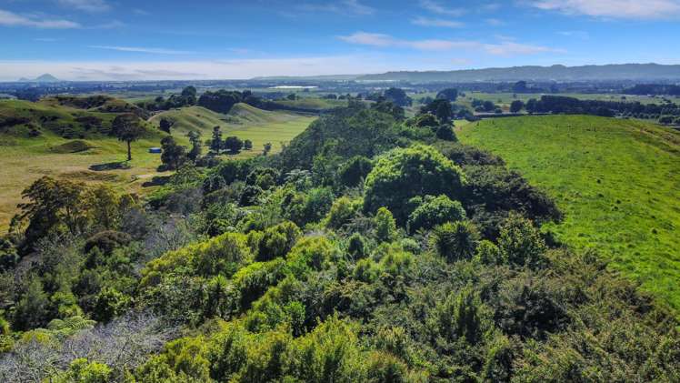 109 McIvor Road Rotoma_16