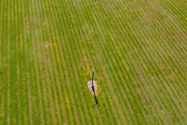 97 Shandon Road Waihopai Valley_14