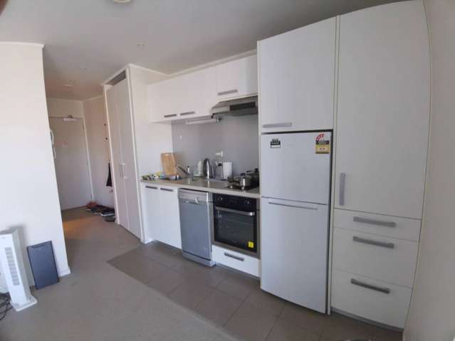 14F/156 Vincent Street City Centre_1