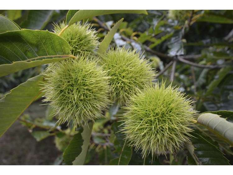 71a Keri Downs Road Kerikeri_19