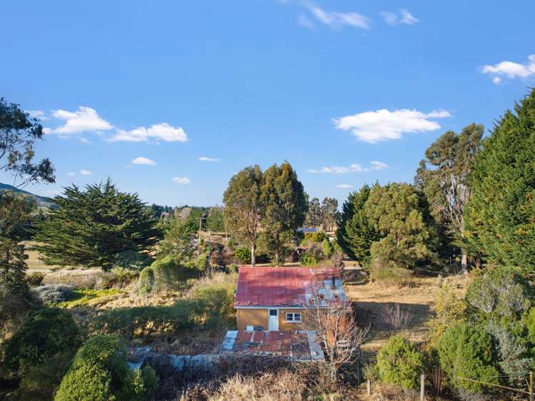 14 Murphy Street Ext Dunback_12