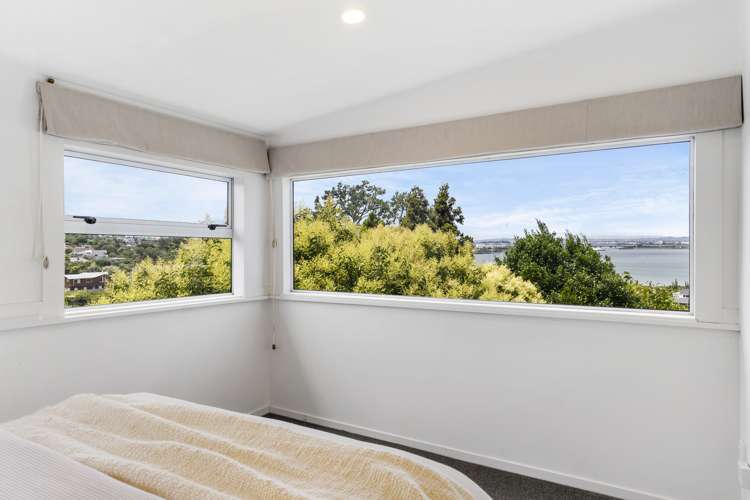 52 Goodall Street Hillsborough_7