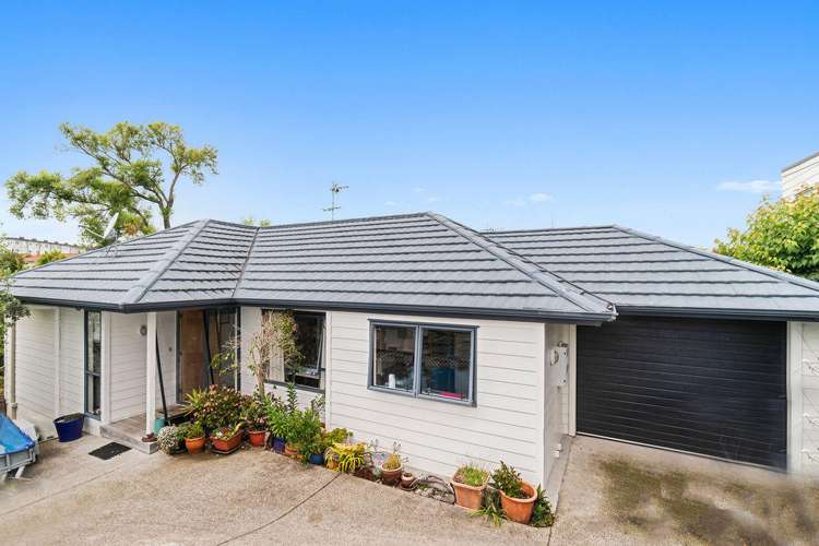 25a Duncan Avenue Te Atatu South_0