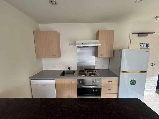 901/8 Ronayne Street Auckland Central_2