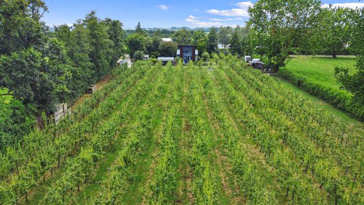 96 Berquist Road Ohaupo_18