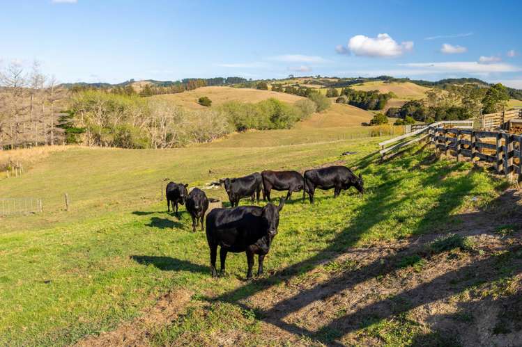 306 West Coast Road Warkworth_32