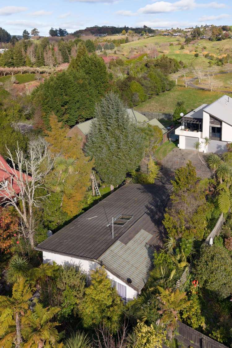 56A Moncur Drive Springfield_6