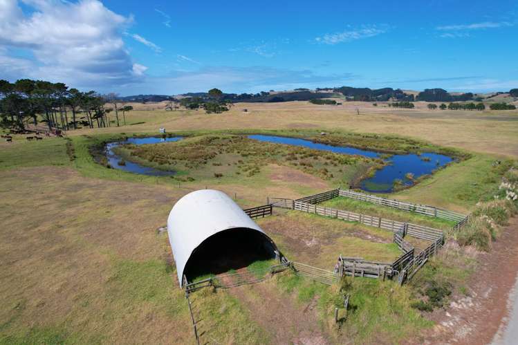 1008 Te Maire Road Te Kopuru_17