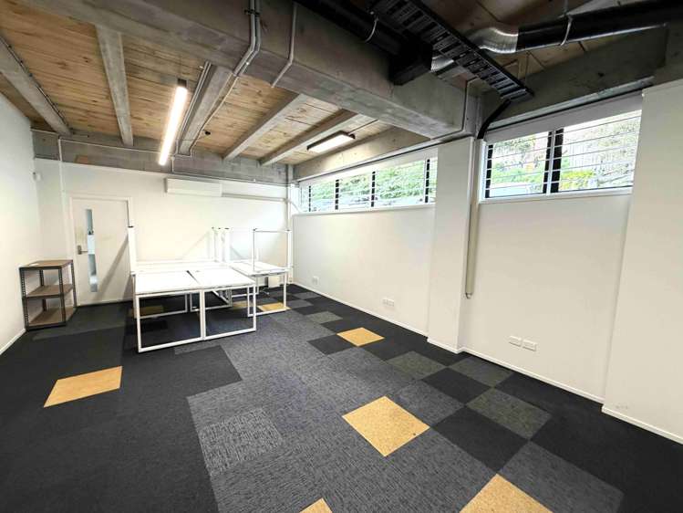 22 Dundonald Street Eden Terrace_4