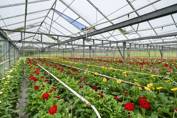 36A Horotane Valley Road Heathcote Valley_14