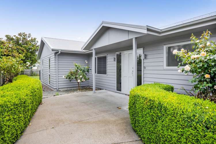 160B Waihi Road Hawera_11