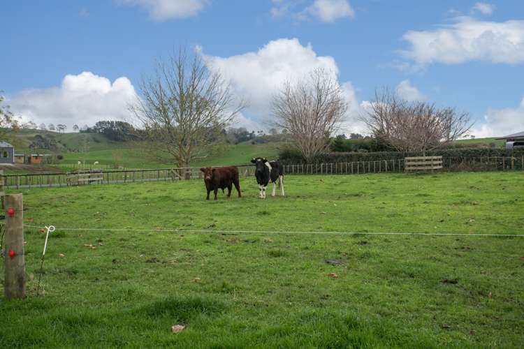 508f Henry Watson Road Richmond Downs_14