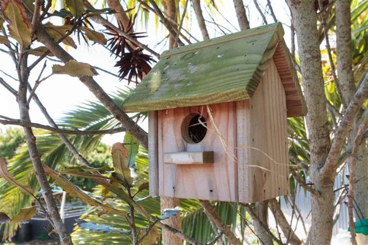 1209 Papamoa Beach Road Papamoa_12