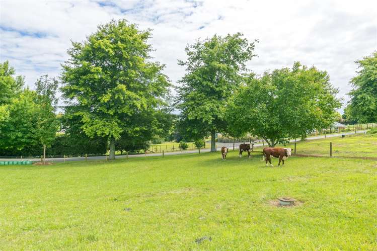 912 Bond Road Te Awamutu_25