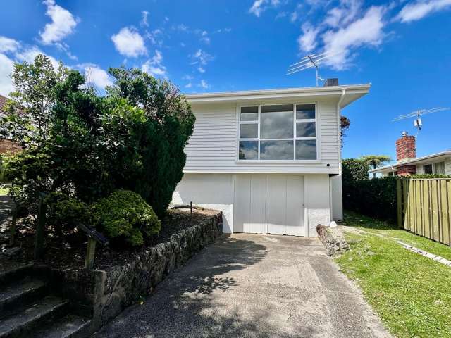 52 Subritzky Avenue Mount Roskill_1