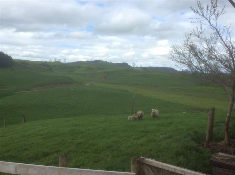 407 Aria Road Piopio_29