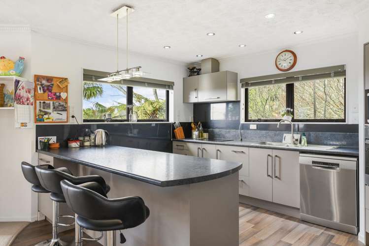 3 Taiporutu Place Springfield_6