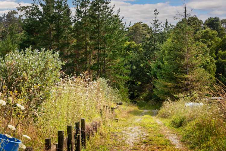 81 Grange Street Warkworth_27