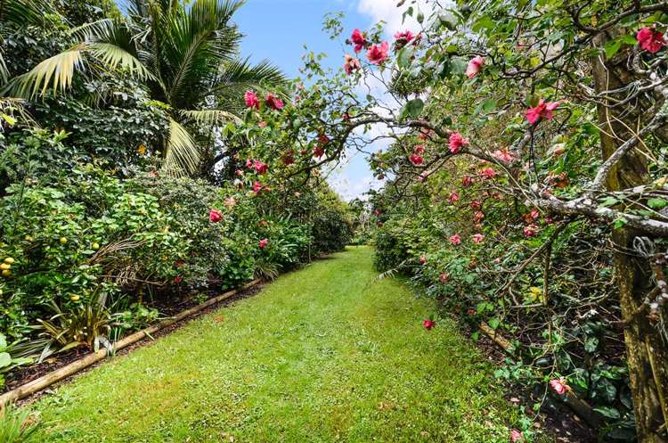 3 Springbank Lane Te Atatu Peninsula_10