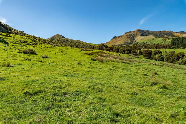 44 Parkinsons Road Ataahua_6