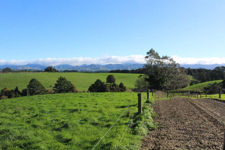 109 Vaughan Road Takapau_10