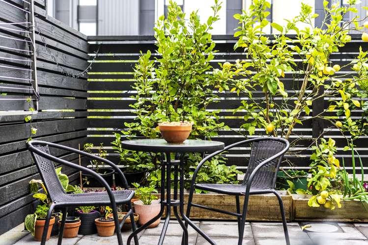 36 Tahuhu Road Mount Wellington_5