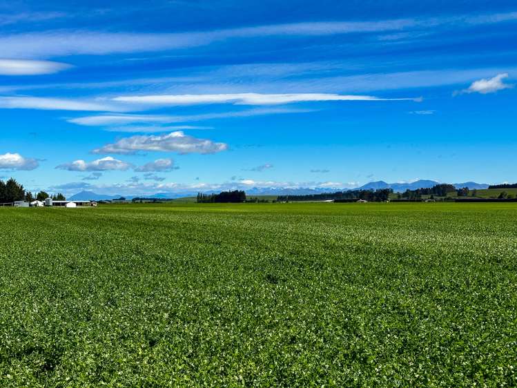 909 Nine Mile Road Riversdale_17