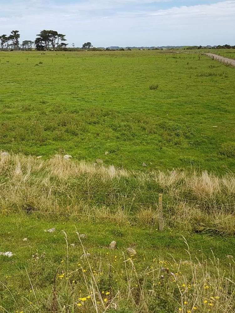 153 Tipoka Road Rahotu_5