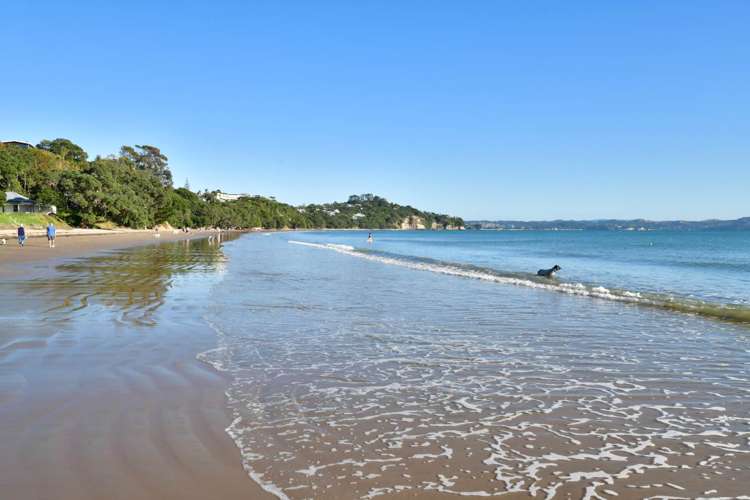 6 Holiday Road Stanmore Bay_23