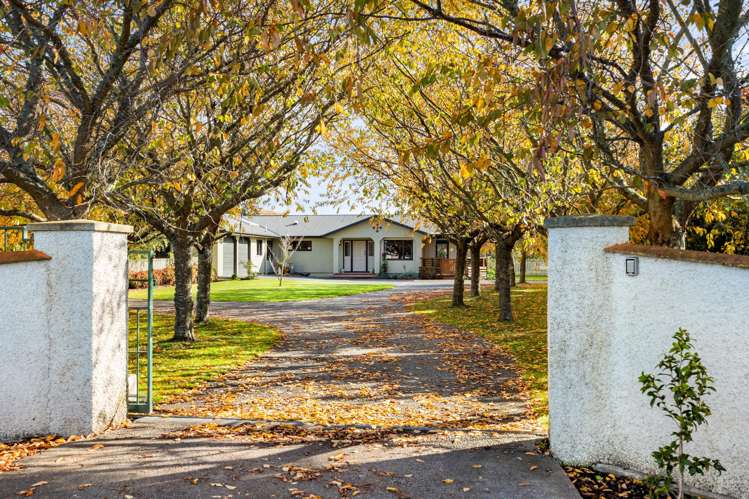 145 Powdrell Road Meeanee_20