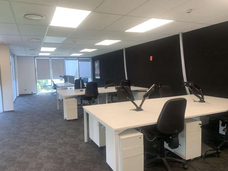 5A Armstrong Road Albany_7