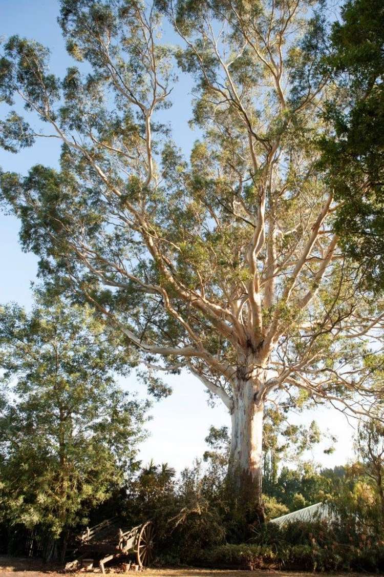 30 George Street Rotherham_25