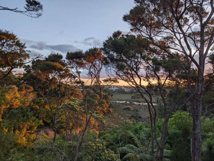 13/216 Manuka Road Bayview_15