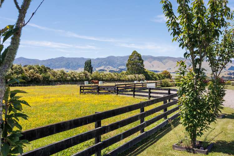 946d Finnis Road Pohangina_22
