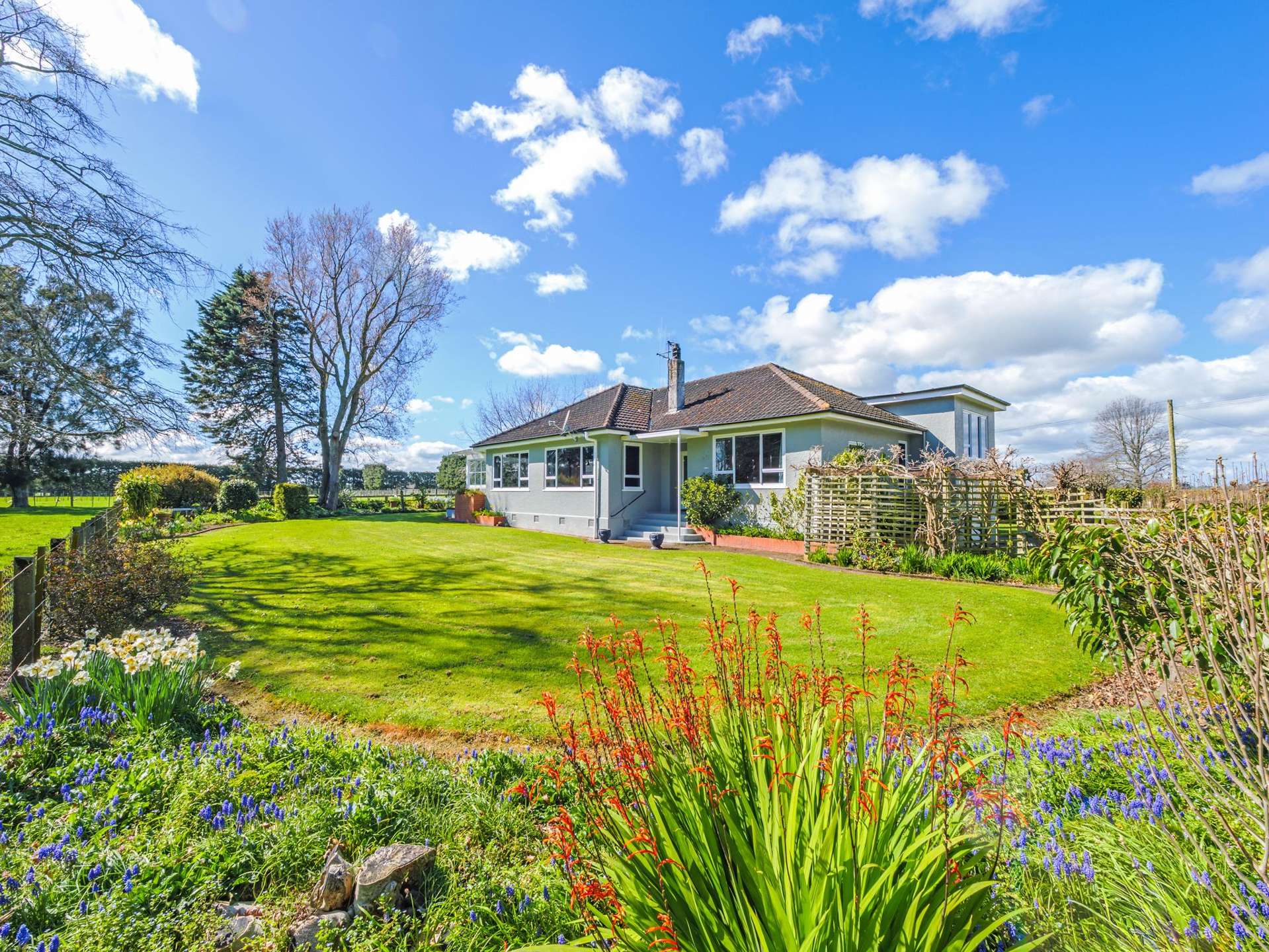 298 State Highway 1 Bulls_0