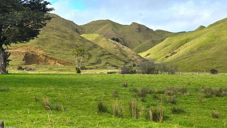 Mangaraupiu Road Eketahuna_11