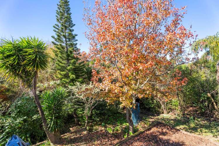 23 Glen Oaks St Heliers_9
