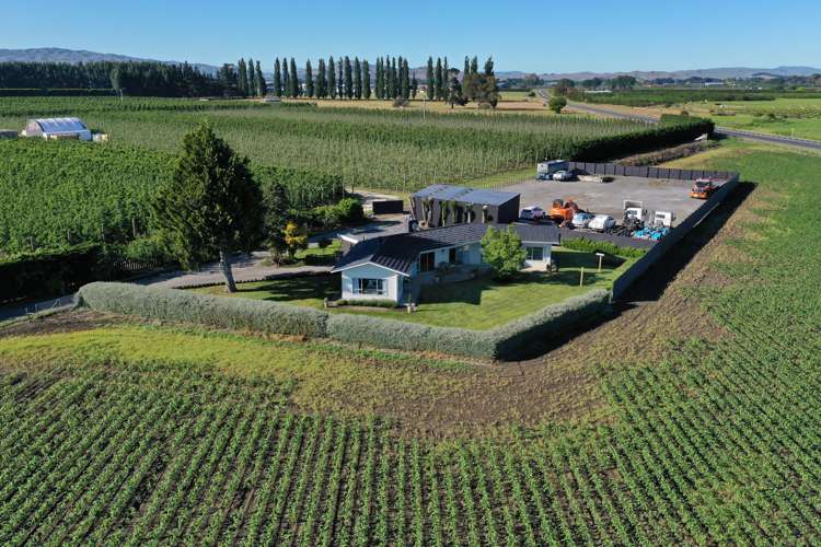 133 York Road Longlands_17