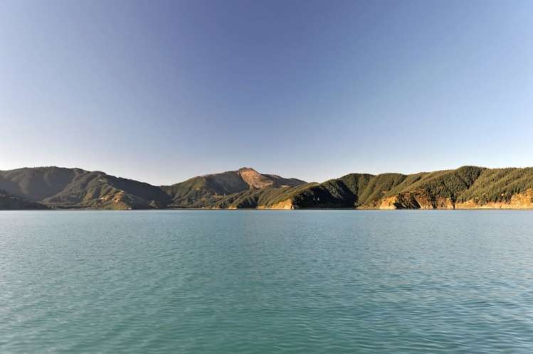 465 Tumbledown Bay Road Port Underwood_9