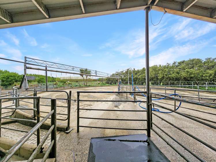 119 The Crescent Road Kaitangata_5