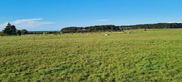 Lot 1/130A Paora Road Warea_4