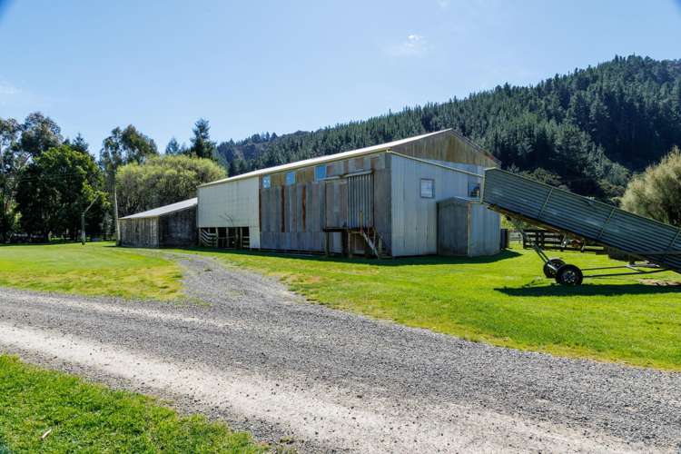 140 Leslies Road Okaramio_31